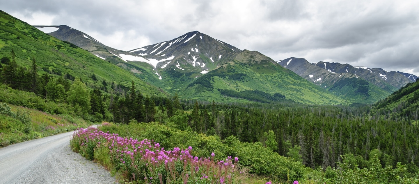 Beautiful mountain scene near Palmer Alaska